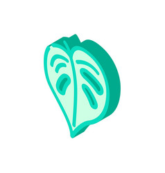 Monstera Tropical Leaf Isometric Icon