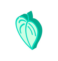 Monstera Plant Leaf Isometric Icon