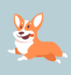 Running Corgi Dog