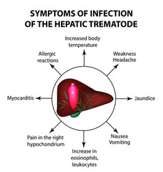 Symptoms Of Infection Are The Hepatic Trematode