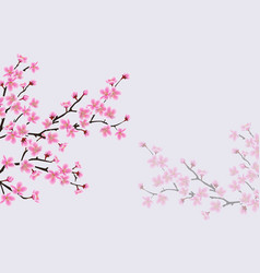 Calligraphy cherry blossom cute hand drawn Vector Image