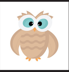 Owl With Big Eyes On White Background