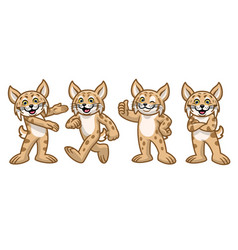 Set Cartoon Bobcat Character