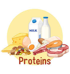 Variety Of Protein Foods