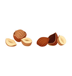 Hazelnuts Set Peeled Whole And Half Nuts