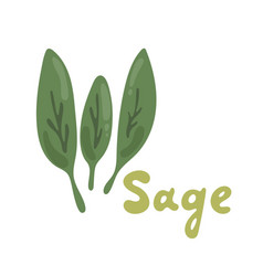 Sage Herb Food Logo