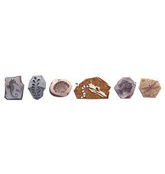 Fossil Dinosaur Archaeology Stone Icon Set