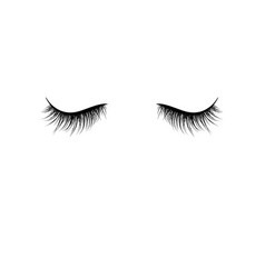 Beauty eyelashes Royalty Free Vector Image - VectorStock