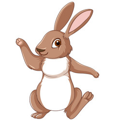 Cute Brown Rabbit Cartoon Character