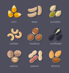 Nuts And Seeds Icon Set