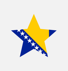 Bosnia And Herzegovina Star Flag