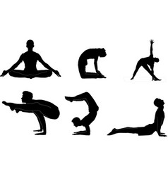 Silhouette Of Human Yoga