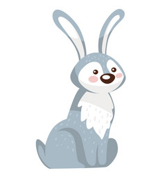 Bunny Character Sitting Still Rabbit Or Hare