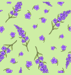 Provence Aromatic Plant Lavender Print Or Pattern