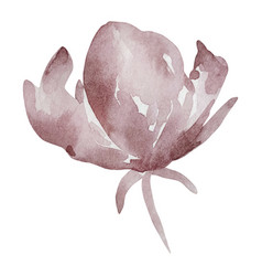 Dark Beige Watercolor Elegant Rose