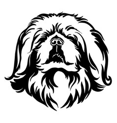 Abstract Portrait Of A Pekingese Dog Black Contour