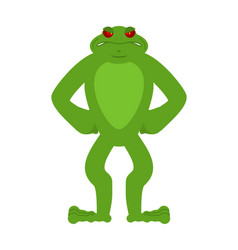 Frog Angry Toad Evil Emotions Avatar Anuran