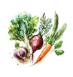 A Set Of Vegetables In Watercolor Harvest