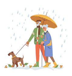 Senior People Walking Dog Under Rain With Umbrella