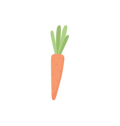 Fresh Carrot Cartoon Flat