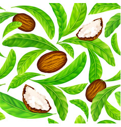 Shea Nuts With Leaves In Pattern