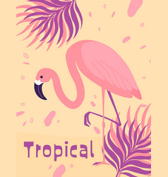 Tropical Flora And Fauna Flamingo Bird