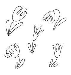 Tulip Flowers Collection Doodle Style Line