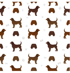 American Water Spaniel All Colours Clipart