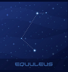 Constellation Equuleus Little Horse