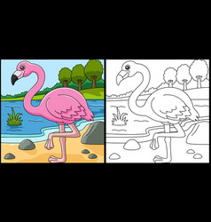 Flamingo Coloring Page