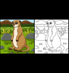 Meerkat Coloring Page