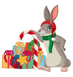 A Rabbit With Many Gift Boxes