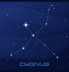 Constellation Cygnus Swan Night Star Sky