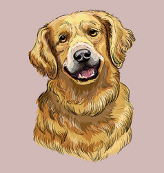 Golden Retriever Hand Drawing Dog Color