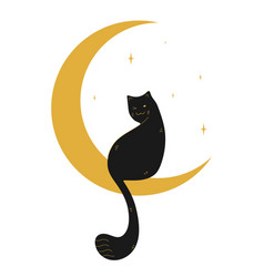 Cute Black Cat Sitting On A Crescent