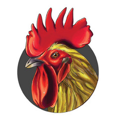 Rooster Headshot