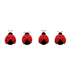 Coccinellidae Red Ladybug Beetles Icons