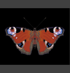 Beautiful Peacock Eye Butterfly With Open Wings