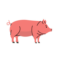 Pig Hand Drawn Silhouette Pork Symbol Piggy