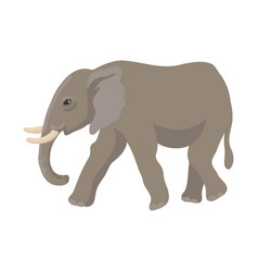 Drawing Elephant Cartoon Animal