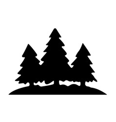 Fir Trees Silhouette