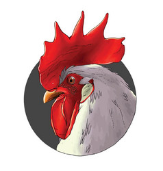 Rooster Headshot