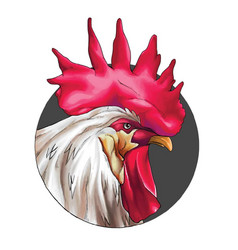 Rooster Headshot