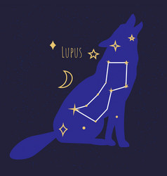 Constellations Of Lupus Star Formation Of Wolf