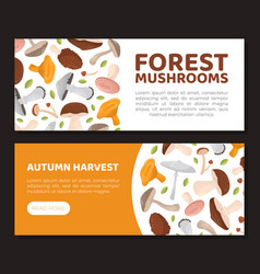 Tasty Mushrooms Flyer Landingpage Templates Set