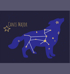 Constellation Of Canis Major Star Formation Of Dog