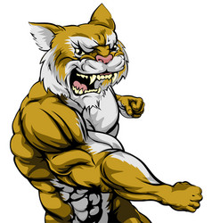 Punching Wildcat Mascot