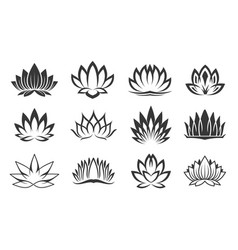 Lotus Icons Spa And Oriental Flower Of Ayurveda