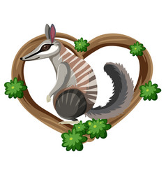 Numbat In Heart Frame