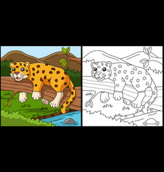 Jaguar Coloring Page